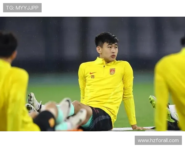 国家队世预赛迎关键战主帅调整阵容冲击出线名额球迷期待年轻球员爆发