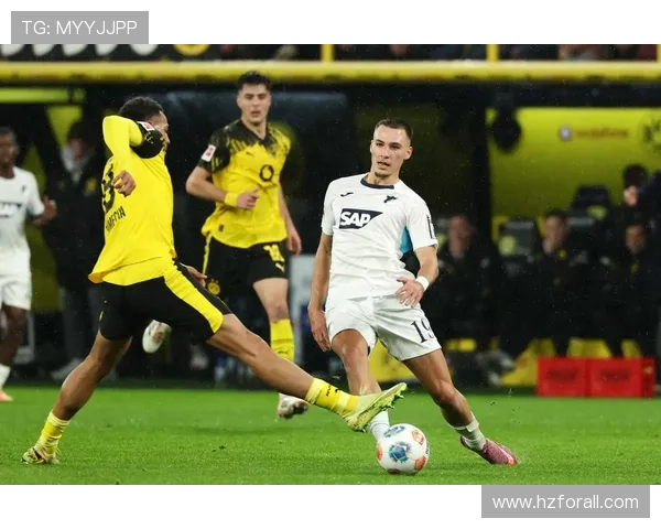 霍芬海姆1899俱乐部崛起历程与德甲赛场上的独特发展之路